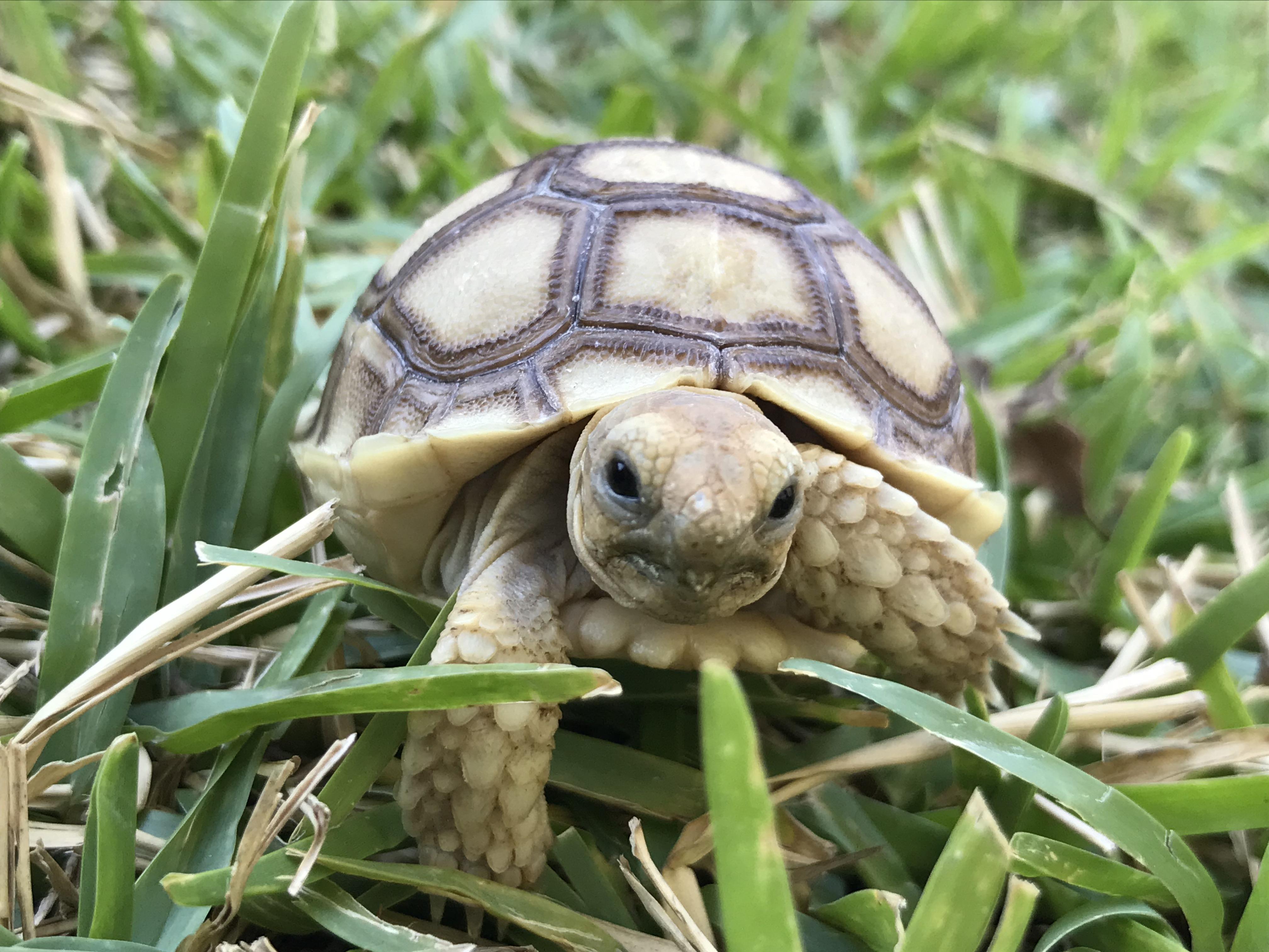 Timperley Aquatics Pet & Reptile Centre